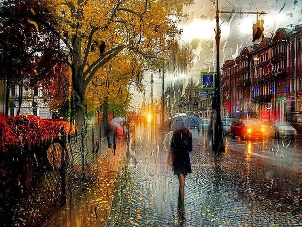 عکس از پاییز بارانی