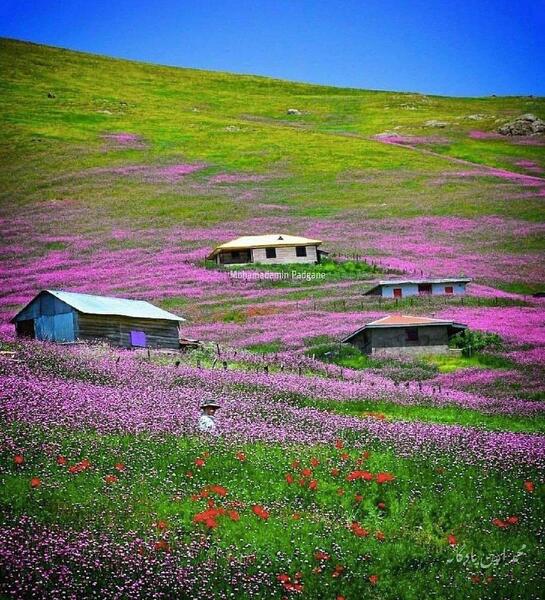 عکس های بهار خلخال