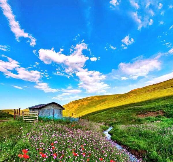 عکس های بهار خلخال