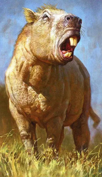 عکس حیوانات گذشته