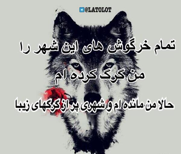 عکس نوشته های زیبا گرگ