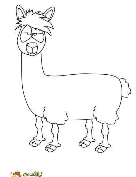 عکس نقاشی شتر