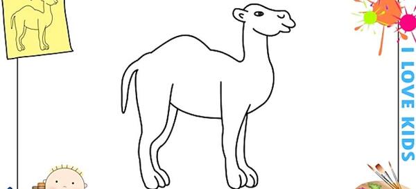 عکس نقاشی شتر