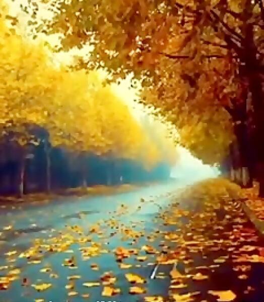 عکس استوری کوردی پاییز
