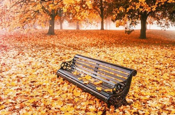 عکس استوری کوردی پاییز