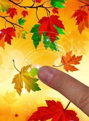 عکس استوری کوردی پاییز