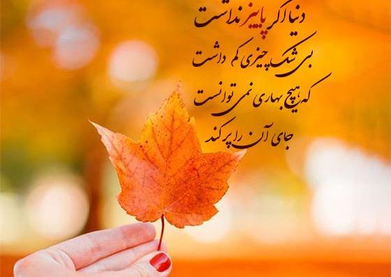 عکس استوری کوردی پاییز