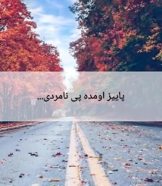 عکس استوری کوردی پاییز