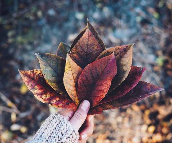 عکس های پاییزی برای پروفایل