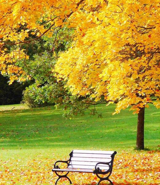 عکس های پاییزی برای پروفایل
