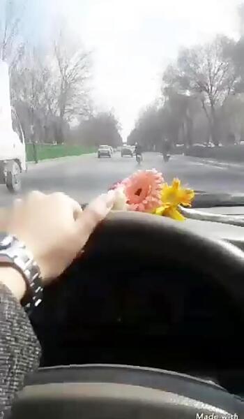 عکس از پشت فرمون