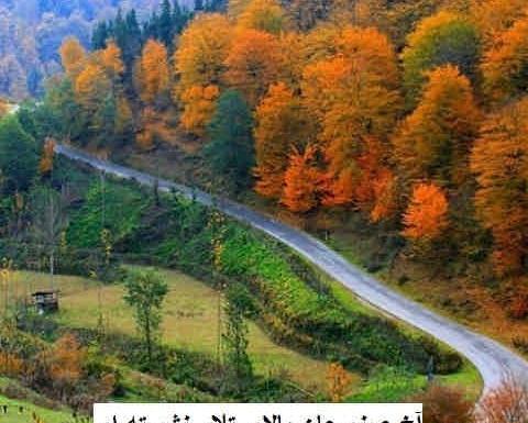 عکس تولدت مبارک صنم جان