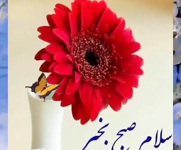 عکس نوشته لپ گلی