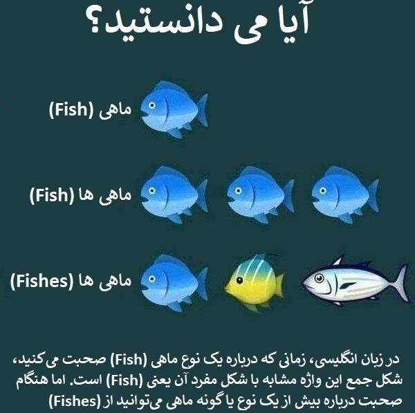 عکس های جالب زبان انگلیسی