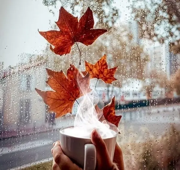 عکس comپروفایل جدید