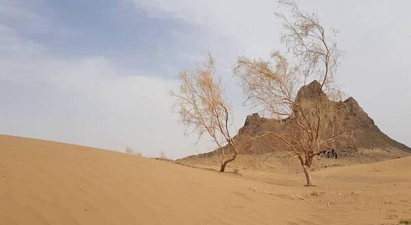عکس های کویر حلوان