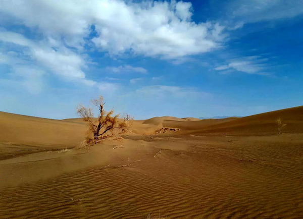 عکس های کویر حلوان