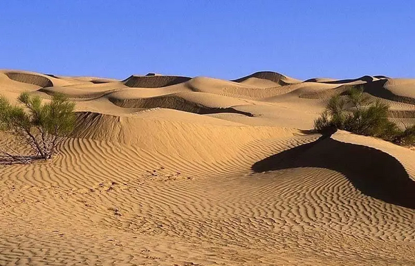 عکس های کویر حلوان