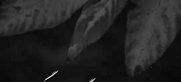 عکس نوشته سوءاستفاده از رفاقت