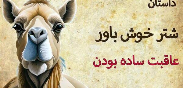 عکس شتر عروس