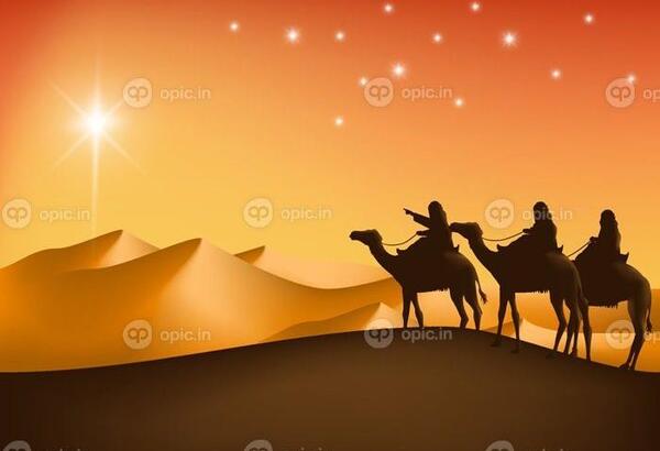 عکس شتر عروس
