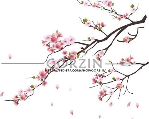 عکس شکوفه های بهاری نقاشی