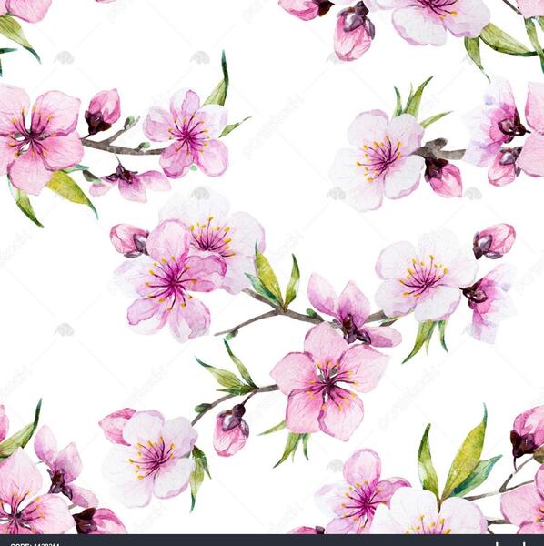 عکس شکوفه های بهاری نقاشی