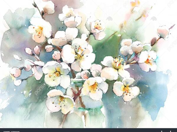 عکس شکوفه های بهاری نقاشی