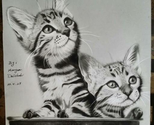 عکس نقاشی سیاه قلم گربه