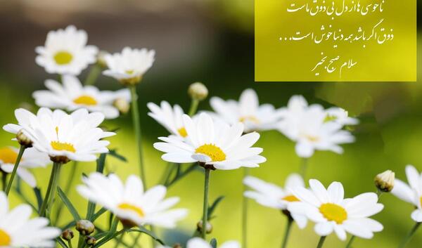 عکس نوشته صبح بخیر دوستان