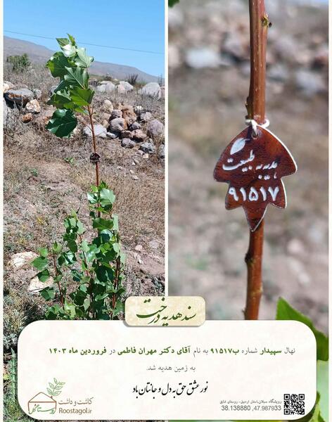 عکس مهران فاطمی
