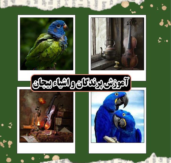 عکس مدل نقاشی با مداد رنگی پرنده