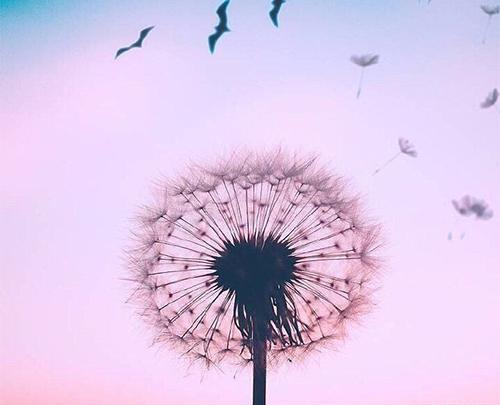 عکس پروفایل اینستاگرام طبیعی