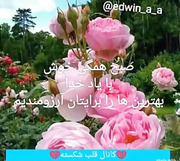 عکس صبح بخیر با یاد خدا