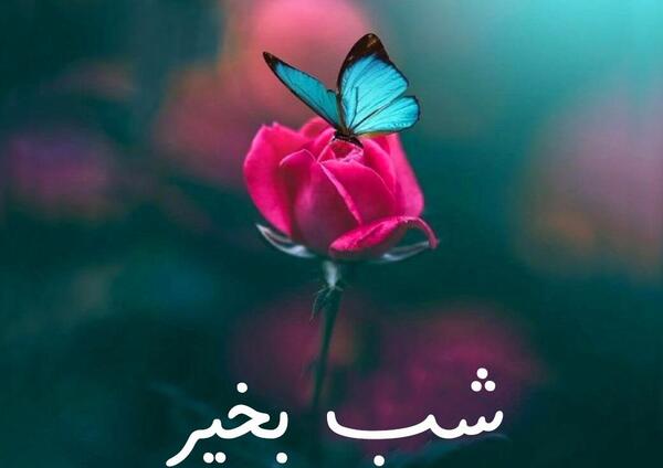 عکس نوشته شب بخیر عاشقانه