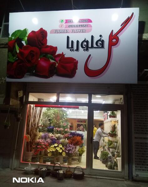 عکس گل فلوریا