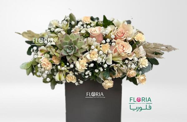 عکس گل فلوریا