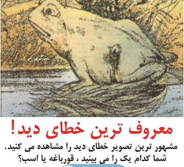 عکس تصاویر خطای دید عجیب