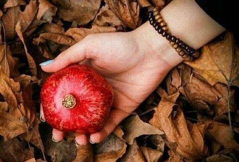 عکس انار پاییزی برای پروفایل