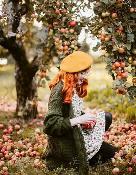 عکس انار پاییزی برای پروفایل