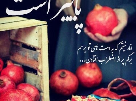 عکس انار پاییزی برای پروفایل