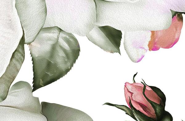 عکس گل رز کنار پنجره