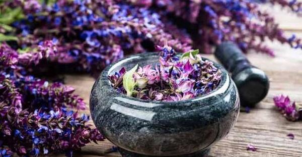 عکس نوشته ی گل مریم