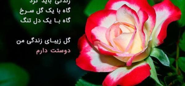 عکس نوشته ی گل مریم
