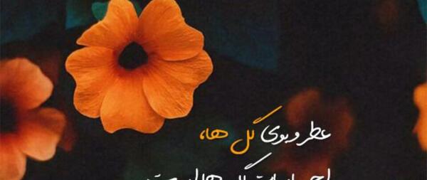 عکس نوشته ی گل مریم