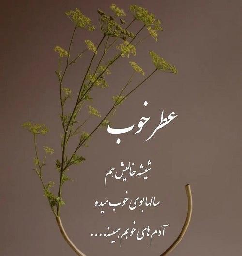 عکس نوشته پندآموز برای وضعیت واتساپ