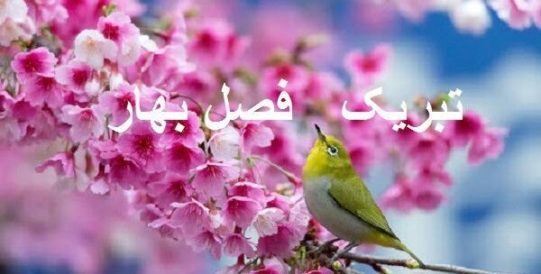 عکس بهار جدید