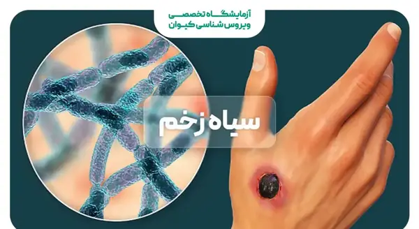 عکس زخم کرونا