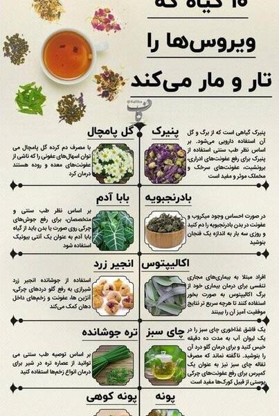 عکس زخم کرونا