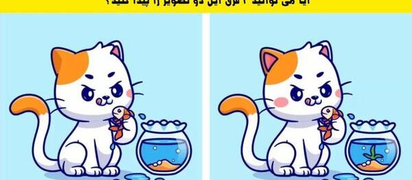 عکس مینی گربه